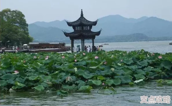 西湖一日游攻略：畅游美景与文化的完美体验