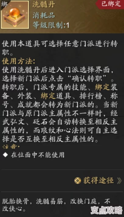 修仙门派建立指南：洗髓丹的正确使用方法与注意事项