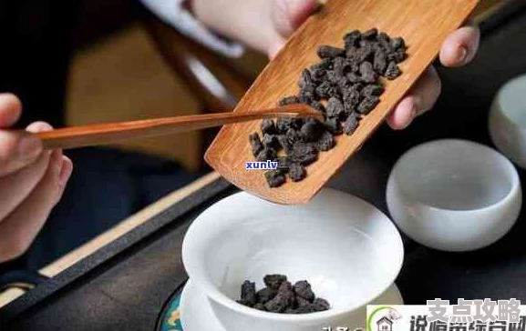 茶化石属于什么茶及其特点解析