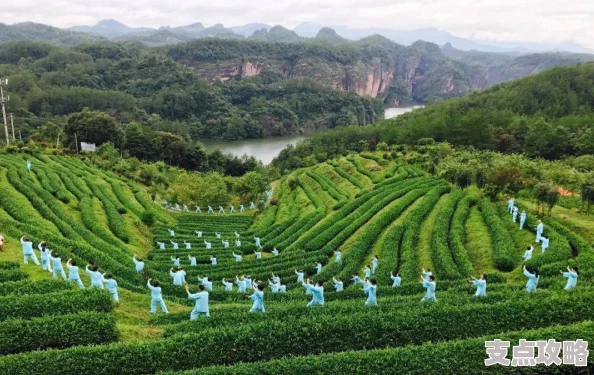 铁山坪森林公园：领略自然之美与生态和谐