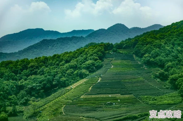 美丽云南：探索多彩旅游景点与精彩图片