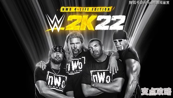 WWE2K25加速器推荐与使用指南 WWE2K25最佳加速器分享