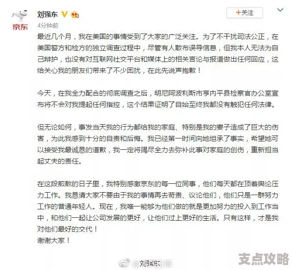 自主研发CEC-IDE系统引发质疑，官方致歉声明引发广泛关注