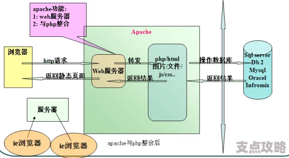 面向过程是什么-PHP编程基础概念详解与入门教程