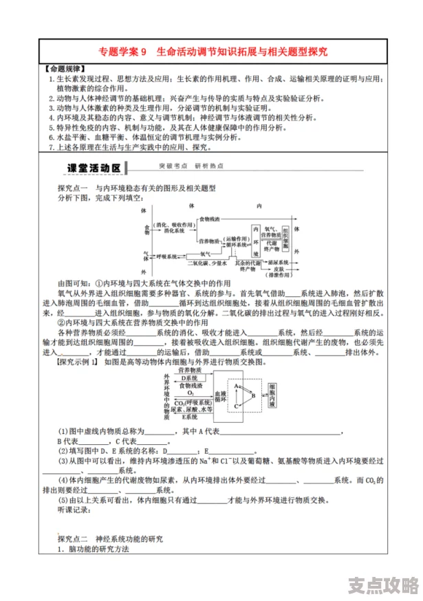 螃蟹甲的特点与应用解析及相关知识探索