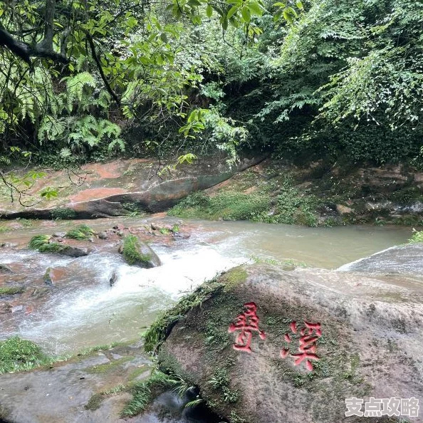 碧峰峡旅游攻略详解：必玩景点与实用贴士