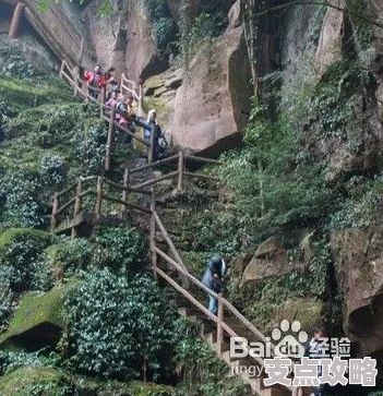 碧峰峡旅游攻略详解：必玩景点与实用贴士