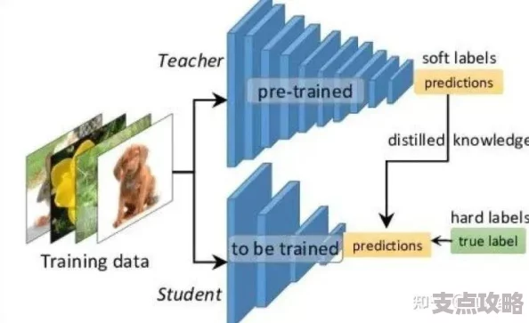 蒸馏模型的基本原理与应用解析-人工智能中知识提炼的方法与实践