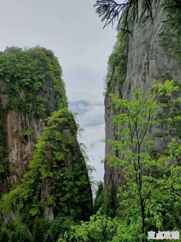 恩施大峡谷景区：探寻自然奇观与文化遗产的完美结合