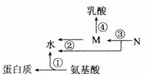 鸣潮秧秧定位及强度分析：精准测定与影响因素研究