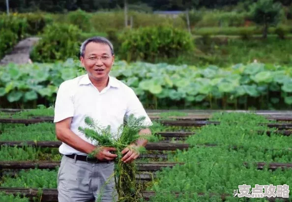 植物大战僵尸杂交版冒险模式70关全攻略：通关技巧与策略分享